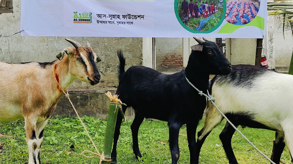 as-sunnah-qurbani as-sunnah-qurbani