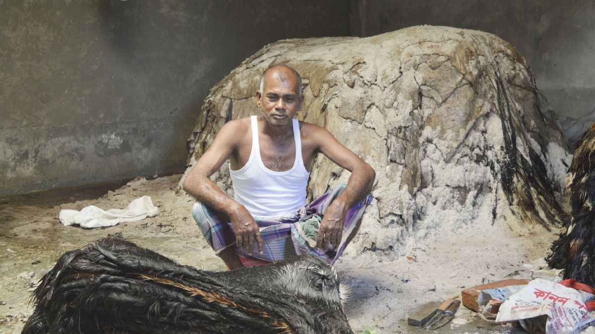 মাগুরায় কোরবানির চামড়া নিয়ে মৌসুমী ব্যবসায়ীদের বড় লোকসানের শঙ্কা
