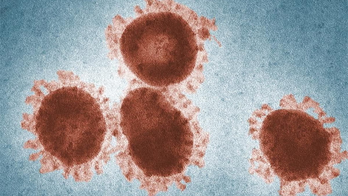 যশোরে করোনার নতুন ভেরিয়েন্ট শনাক্ত