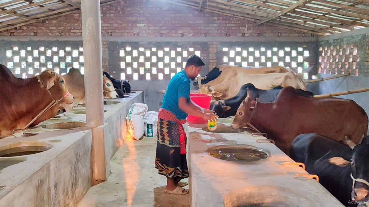 cow_hotel_1 cow_hotel_1