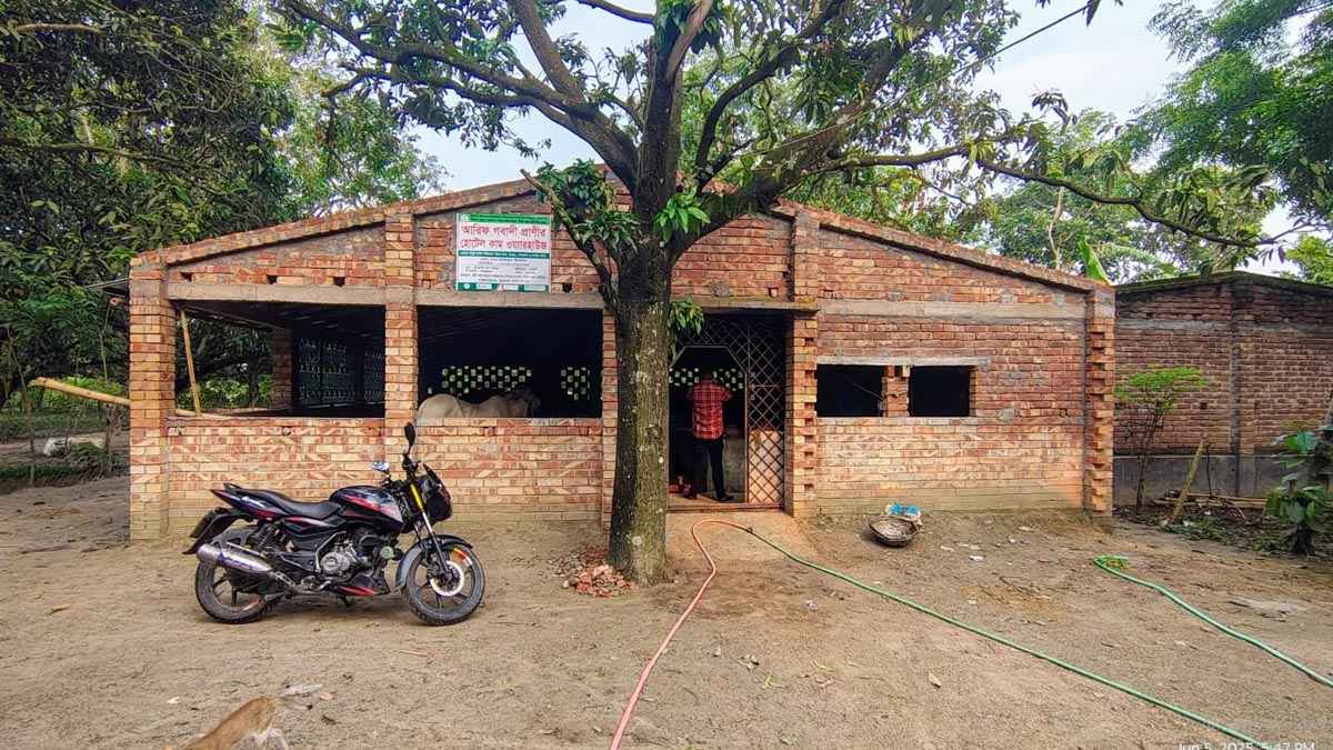 গরু-ছাগলের ‘আবাসিক হোটেল’, খাবার ‘বুফে’
