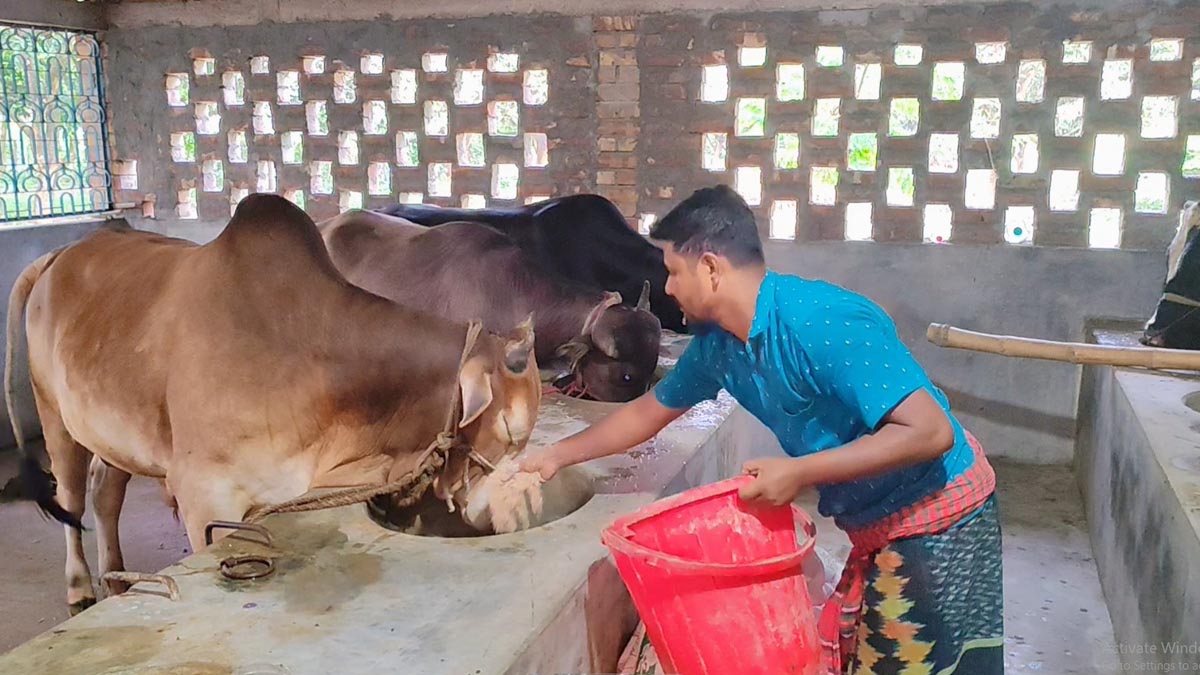 cow_hotel_3 cow_hotel_3