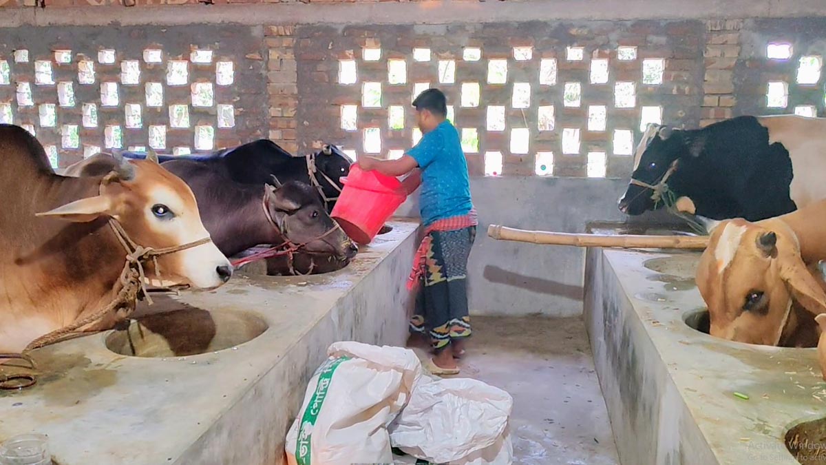 cow_hotel_5 cow_hotel_5