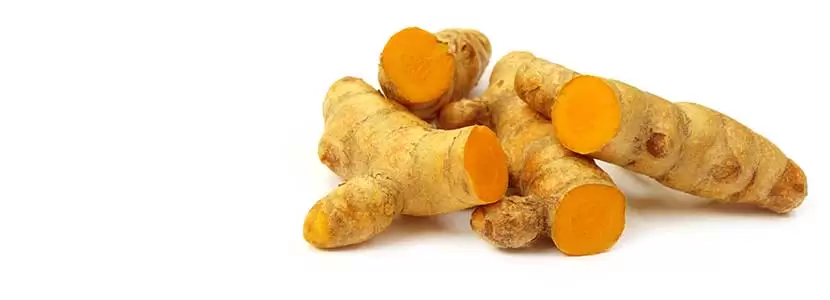 curcuma curcuma