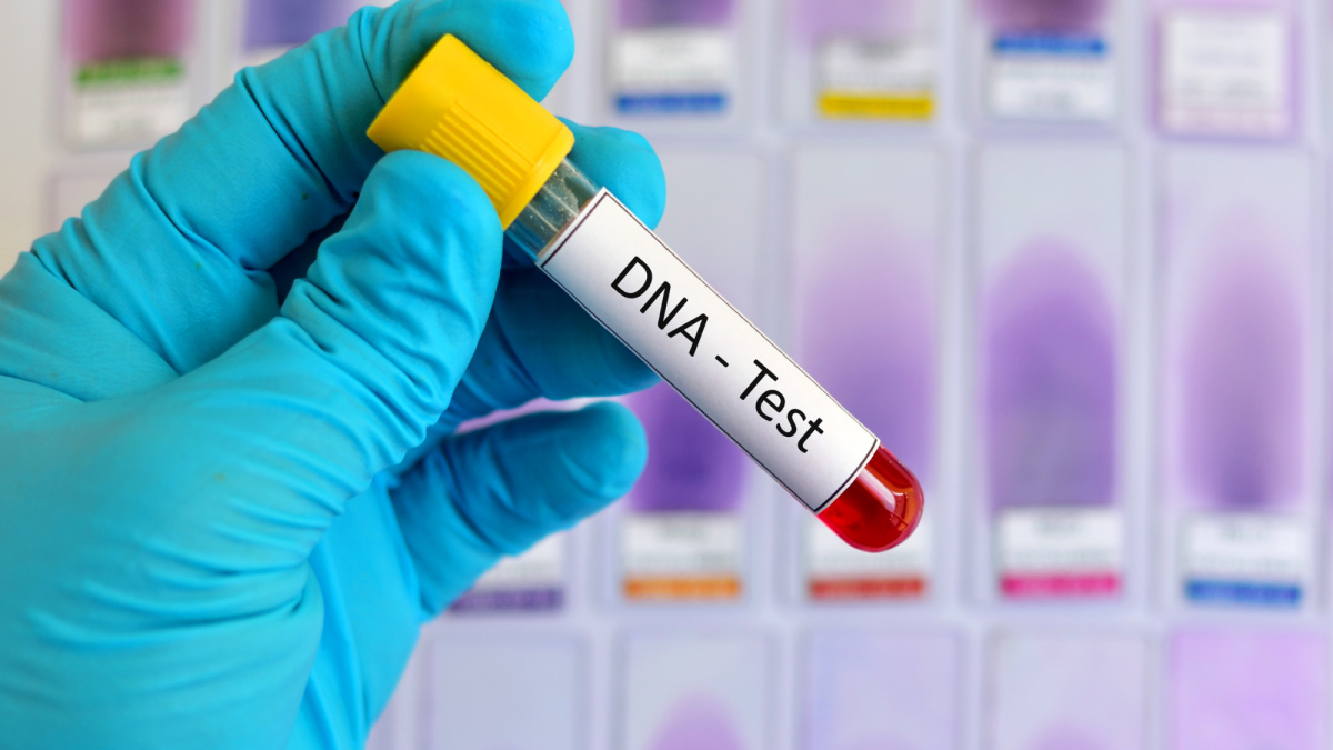 ডিএনএ টেস্ট
