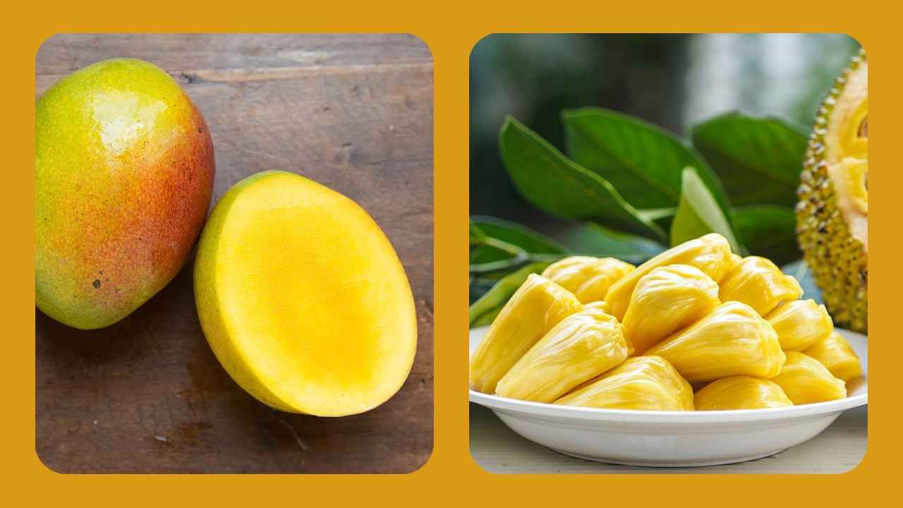 Chelyabinsk porno modellar