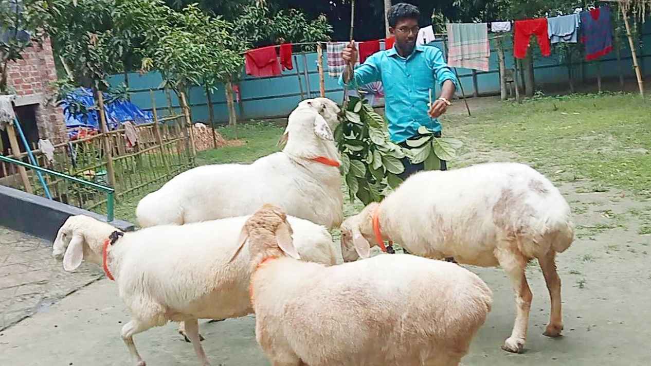 Porno anatomiya oqituvchisi