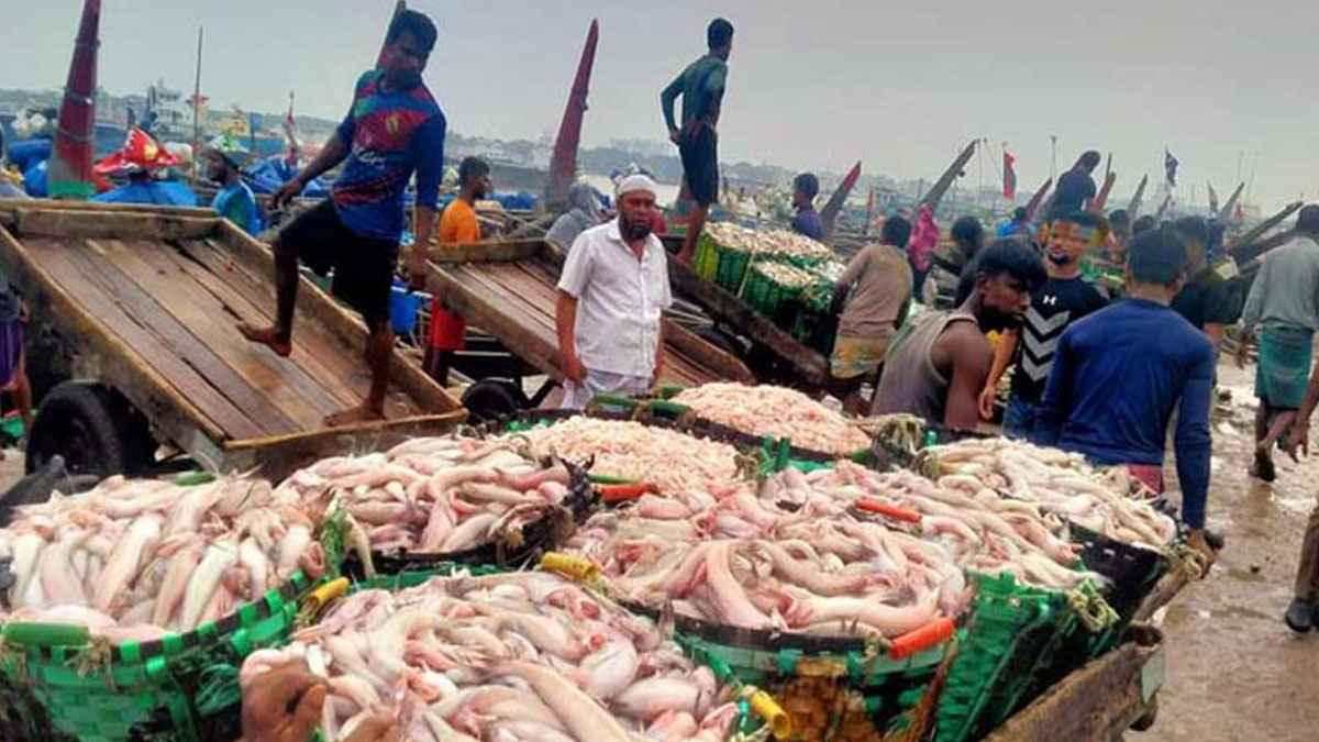 চট্টগ্রামের জেলেদের মুখে হাসির ফোয়ারা