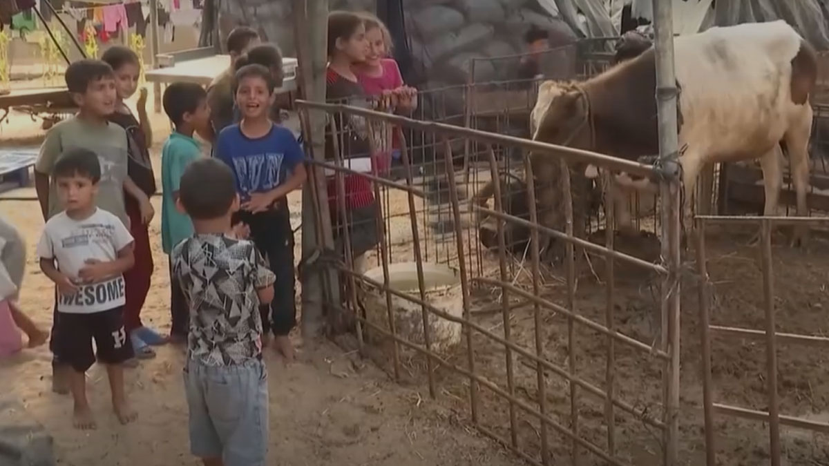 gaza-child gaza-child