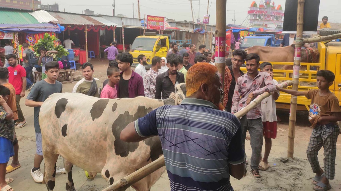 haat_gabtoli haat_gabtoli