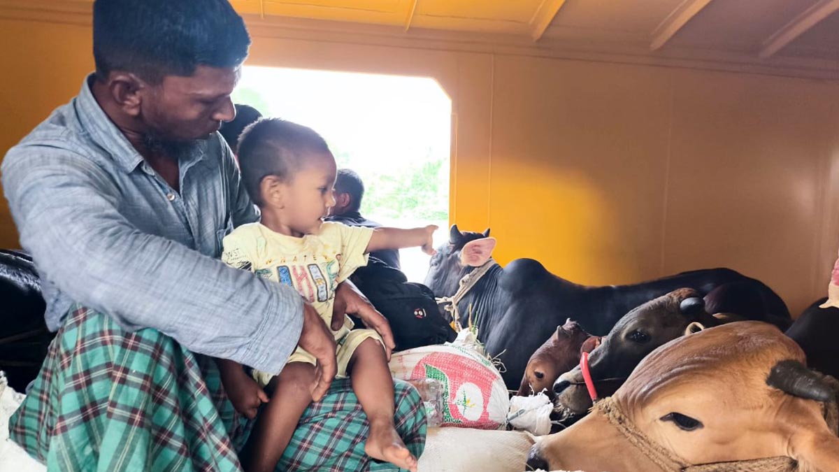 jamalpur_1 jamalpur_1