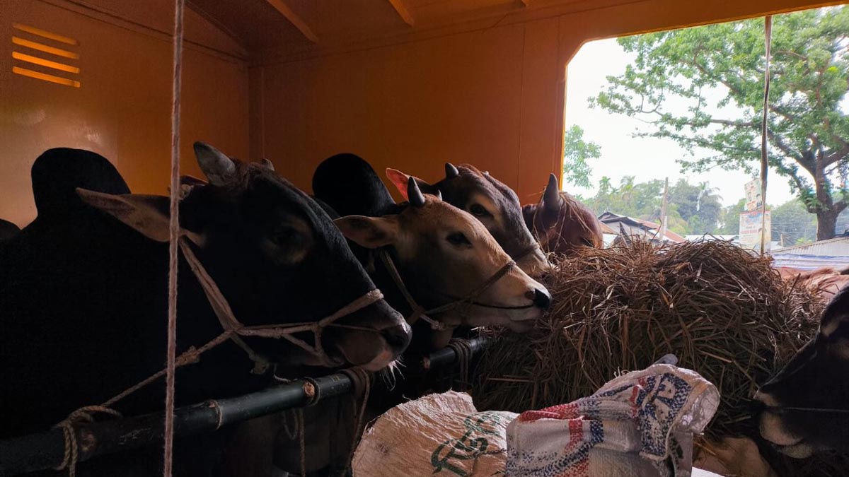 jamalpur_2 jamalpur_2