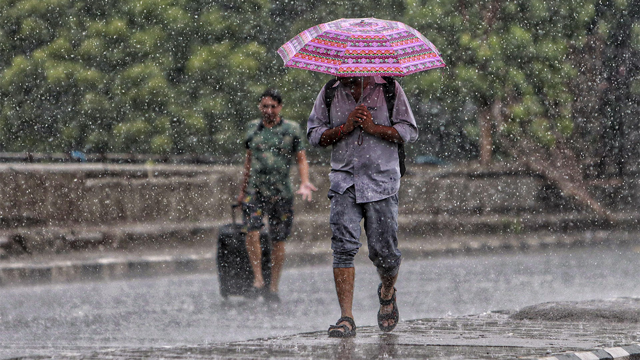 rain