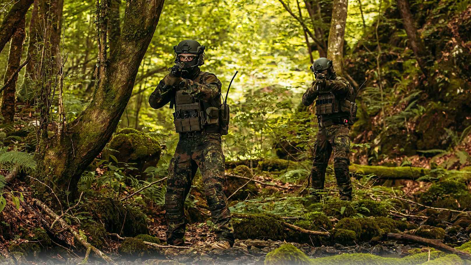 ক্যামোফ্লেজ