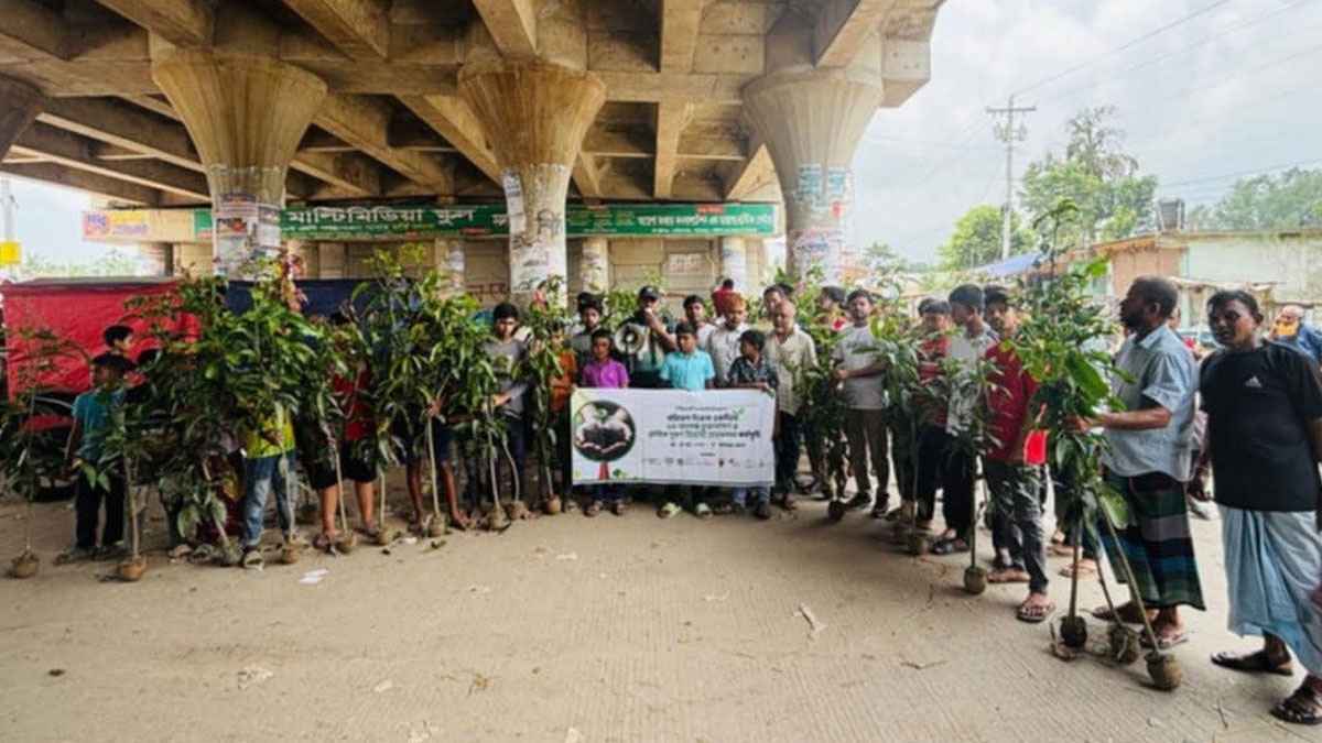 বিশ্ব পরিবেশ দিবসে গাইবান্ধাসহ ৬৪ জেলায় বৃক্ষরোপণ কর্মসূচি