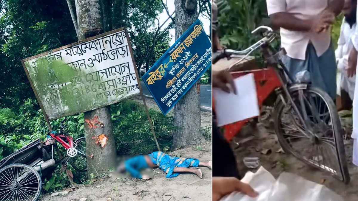 মাদারীপুরে বাসের ধাক্কায় কাঁচামাল ব্যবসায়ী নিহত