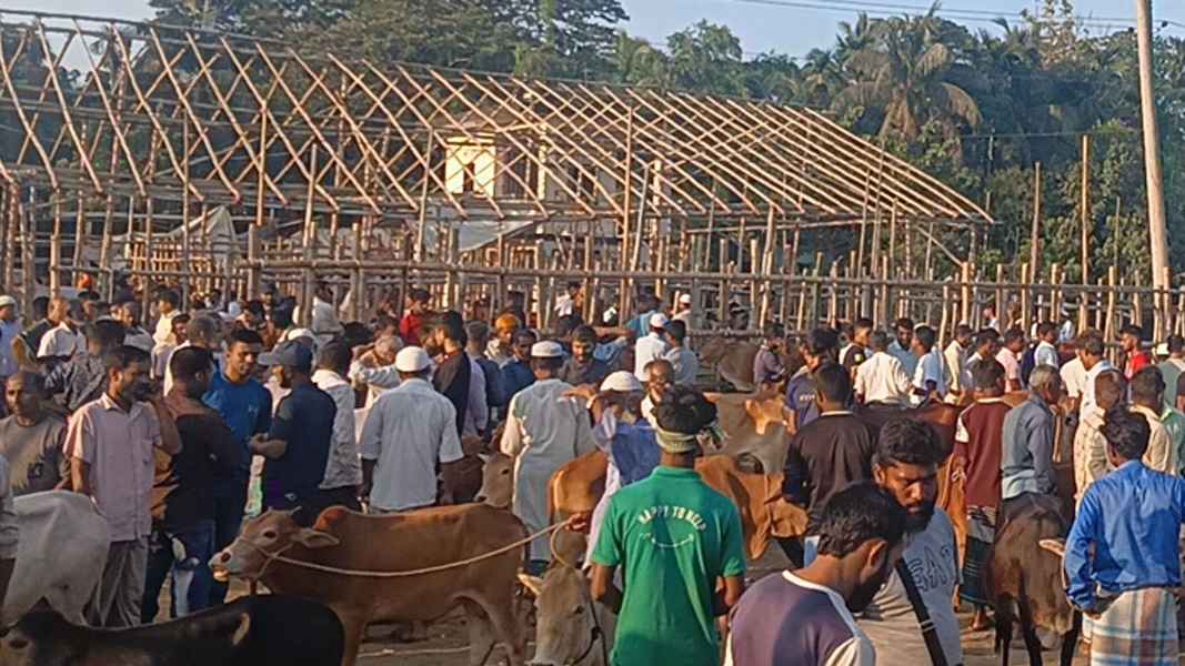 কোরবানির পশু কেনার নিয়ম ও দোয়া