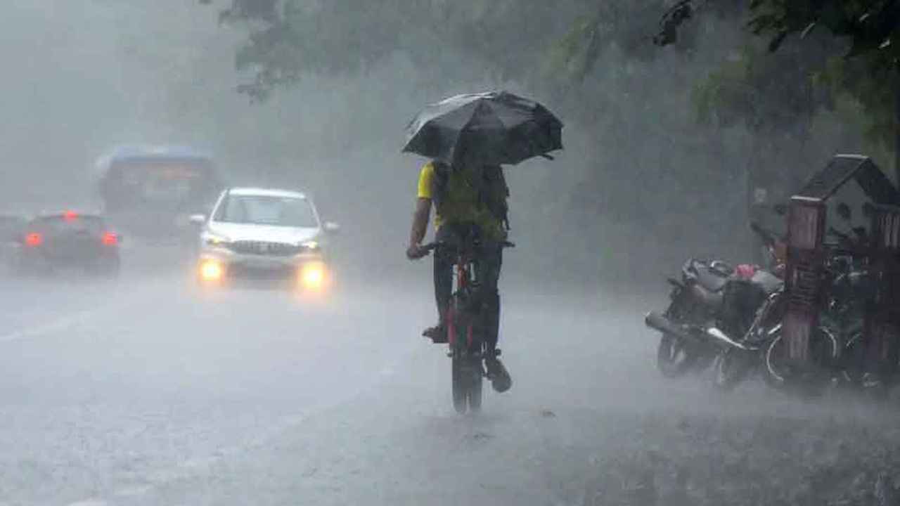 Rain