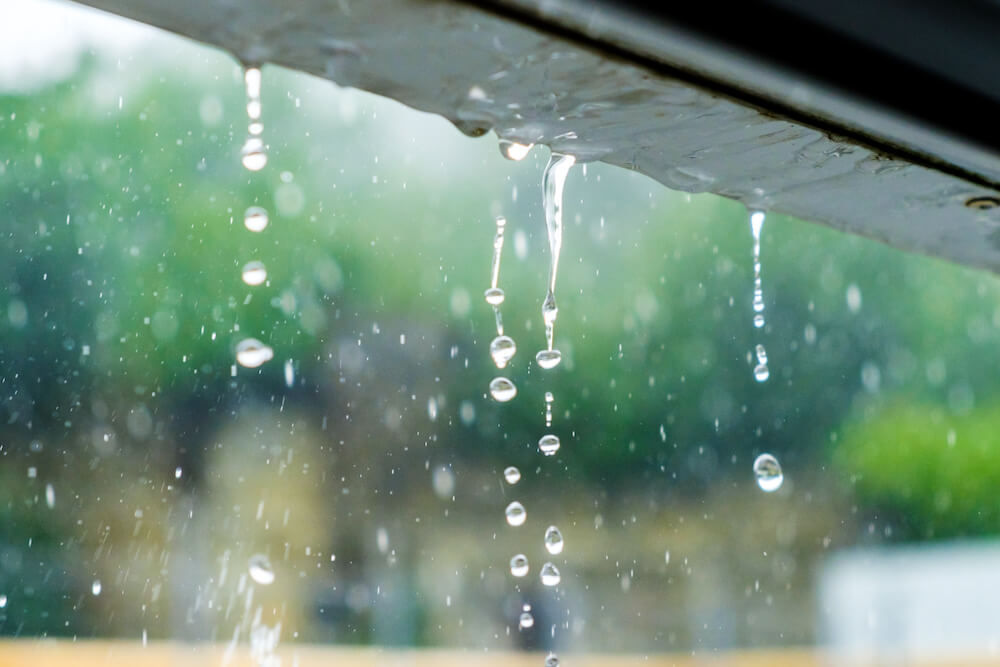 rain_n