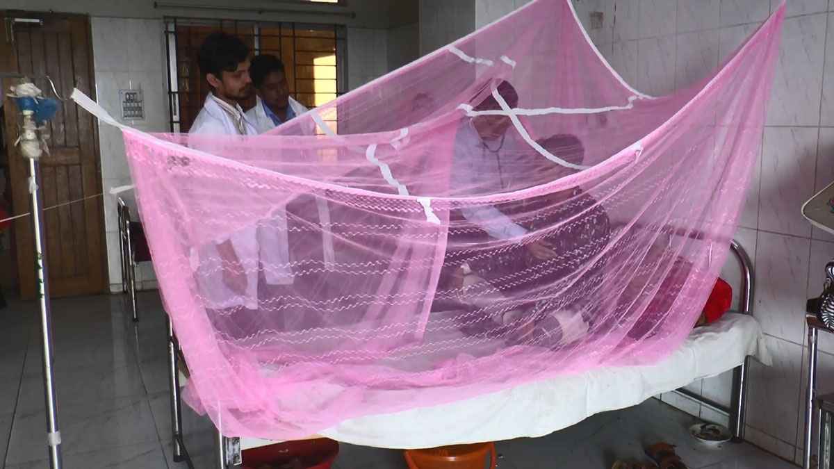মাদারীপুরে এক সপ্তাহে দুইজনের শরীরে করোনা, বাড়ছে ডেঙ্গুও