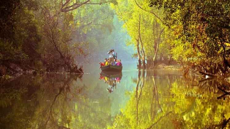 বনের প্রাণ বাঁচাতে নেওয়া প্রকল্পের হৃদস্পন্দন থমকে আছে