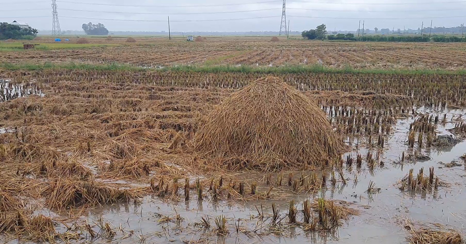 thumbnail_1000011424