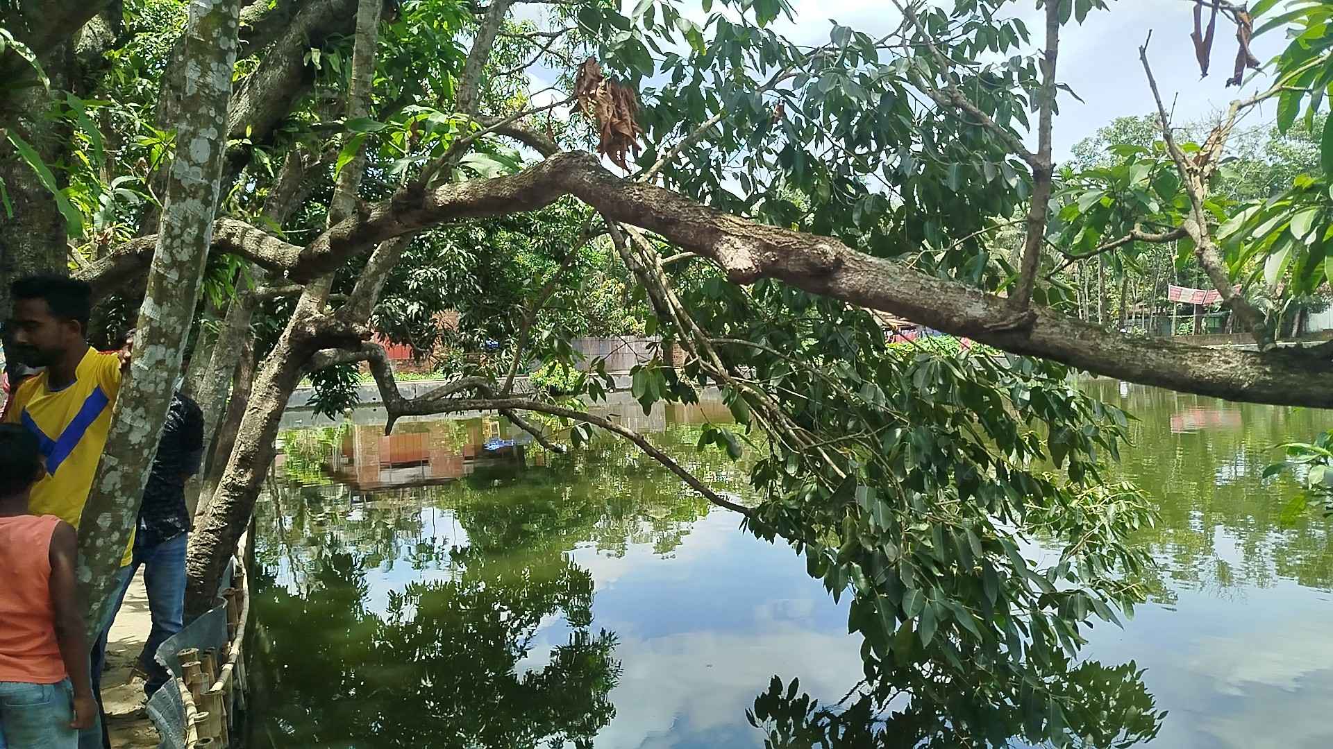 গাছের ডালে ঝুলছিল প্যারালাইজড বৃদ্ধার লাশ, প্রতিবেশীদের ধারণা হত্যা