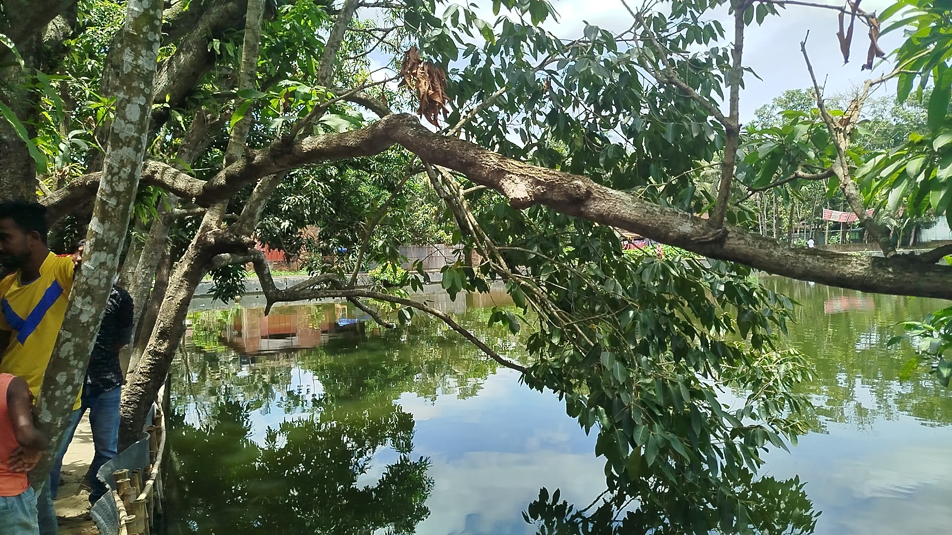 thumbnail_1000091966