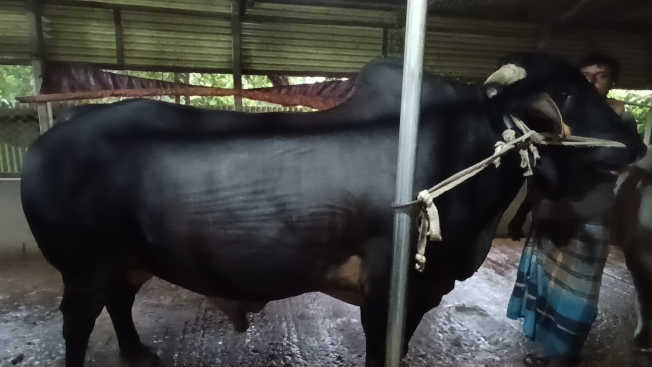 thumbnail_1000130637