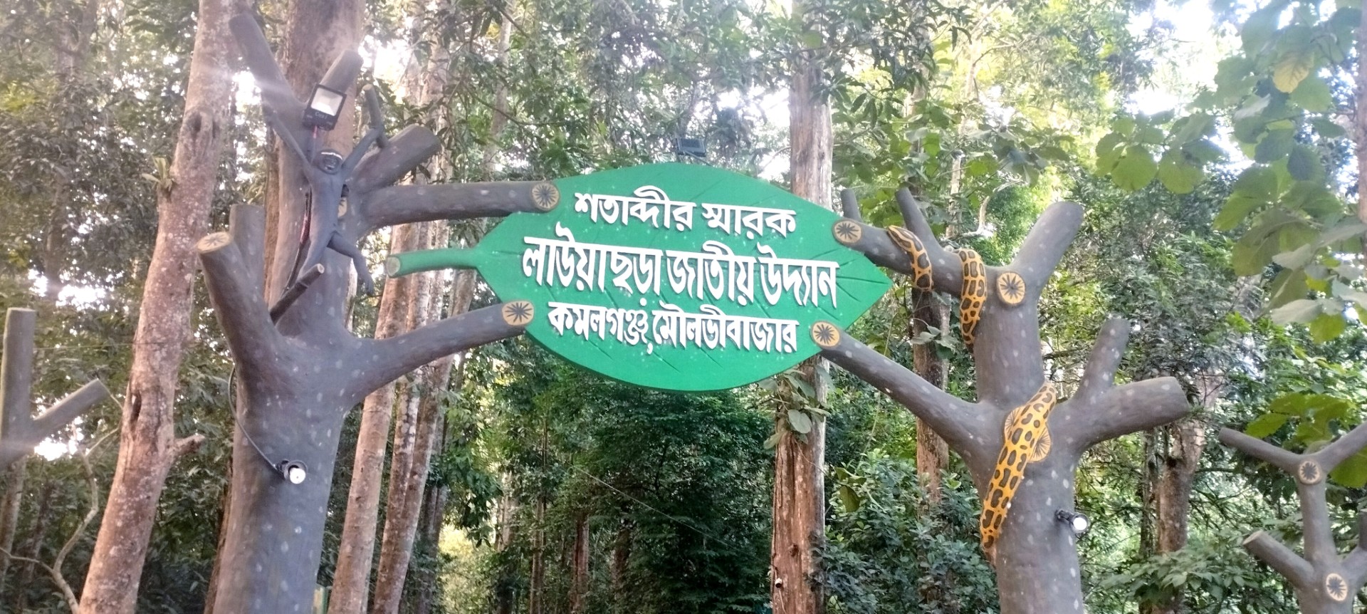 thumbnail_1000147434