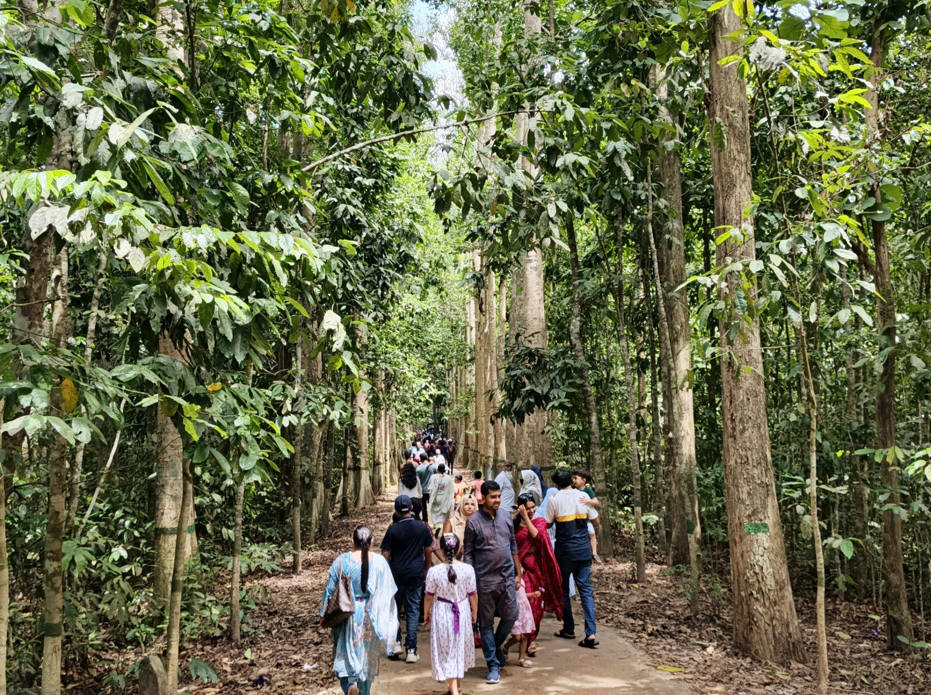 thumbnail_1000147442