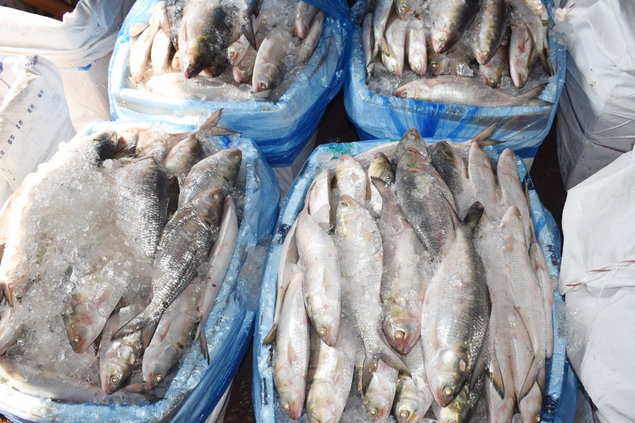 thumbnail_1000154674