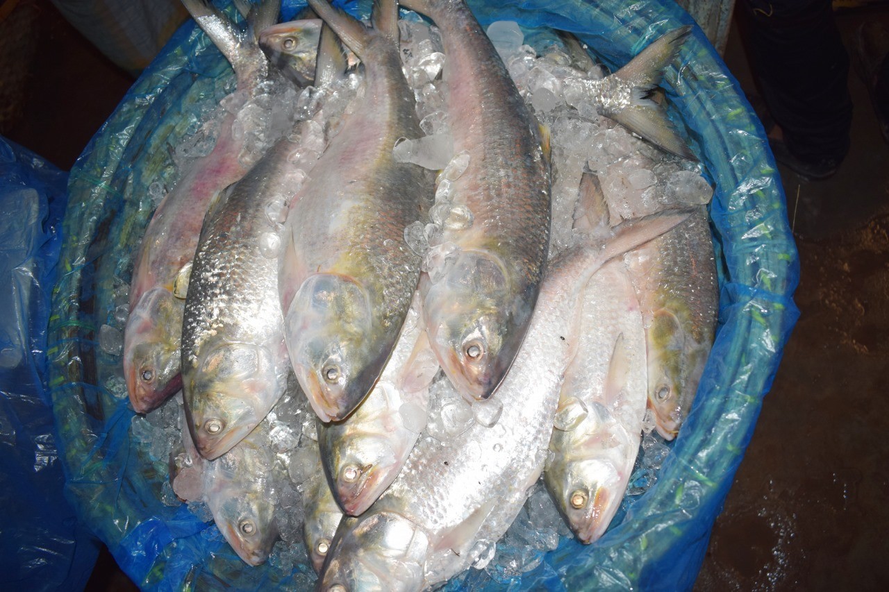 thumbnail_1000154676