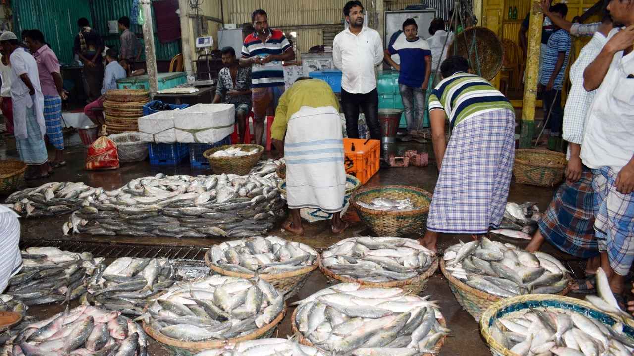 Hilsa