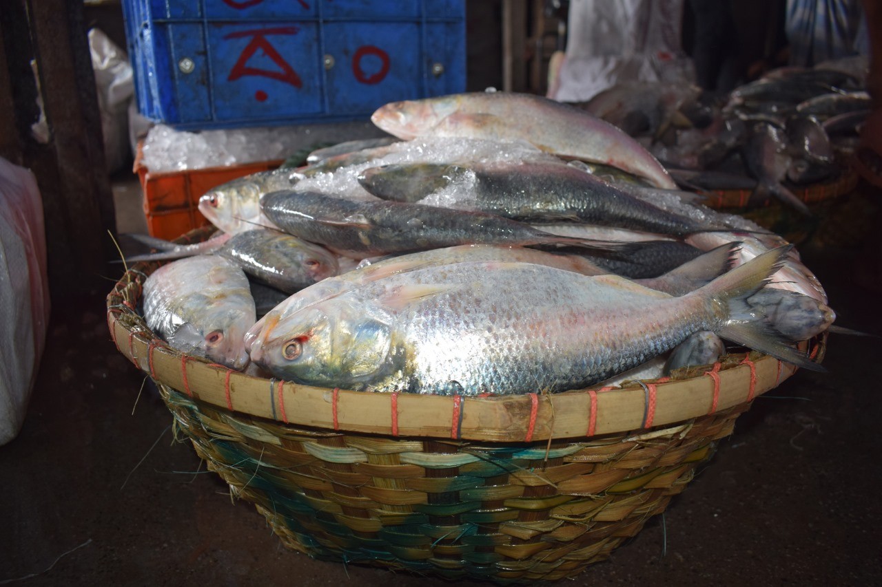 thumbnail_1000155726