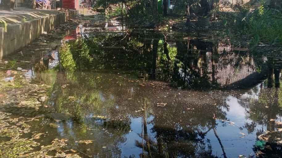 বরগুনার আমতলীতে ডোবা-নালায় ময়লার স্তূপ, মশার দাপটে অতিষ্ঠ পৌরবাসী