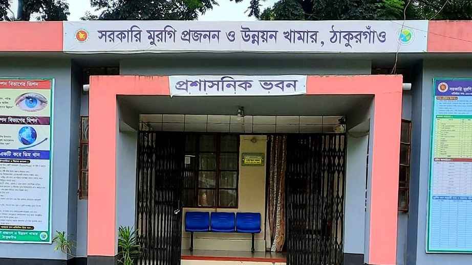 ঠাকুরগাঁও সরকারি মুরগি খামারে ‘নিম্নমানের’ পশুখাদ্য সরবরাহের অভিযোগ