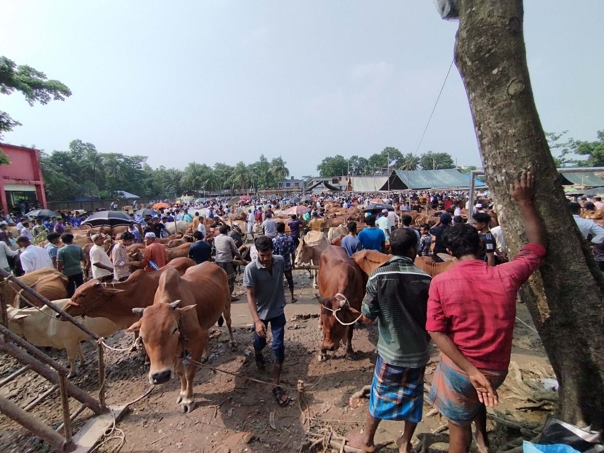 thumbnail_503796168_1776369036594277_5862497690514273387_n