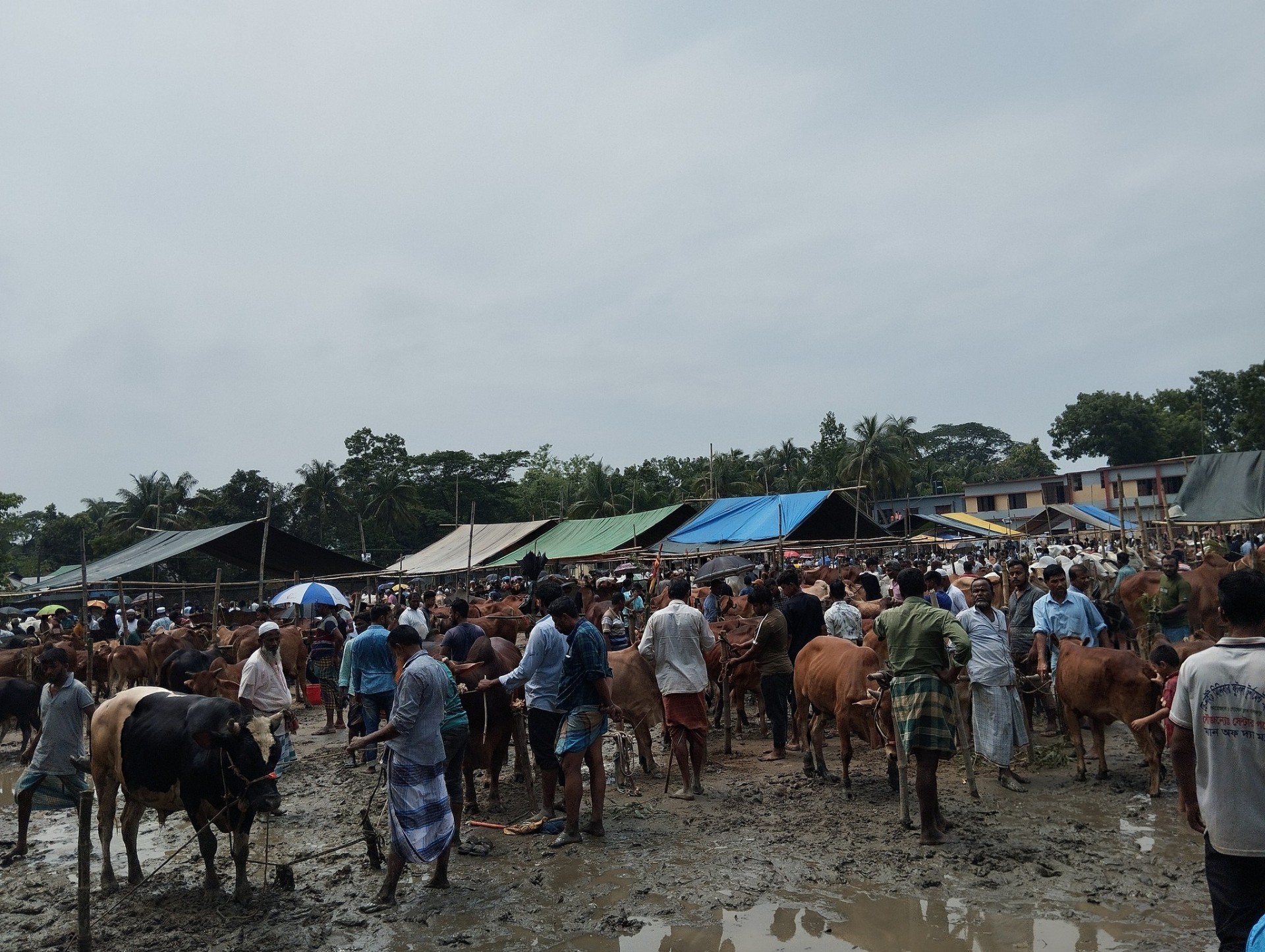 thumbnail_503832546_1776369133260934_9158915916661253658_n