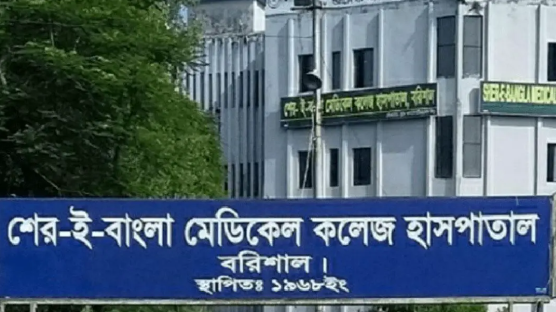 চলতি বছরে ডেঙ্গুতে বরিশালে ১২ জনের মৃত্যু