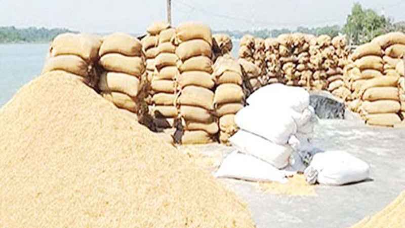 ফড়িয়াদের কব্জায় চট্টগ্রামের বোরো ধান, লক্ষ্যমাত্রার ৬০ ভাগ সংগ্রহ