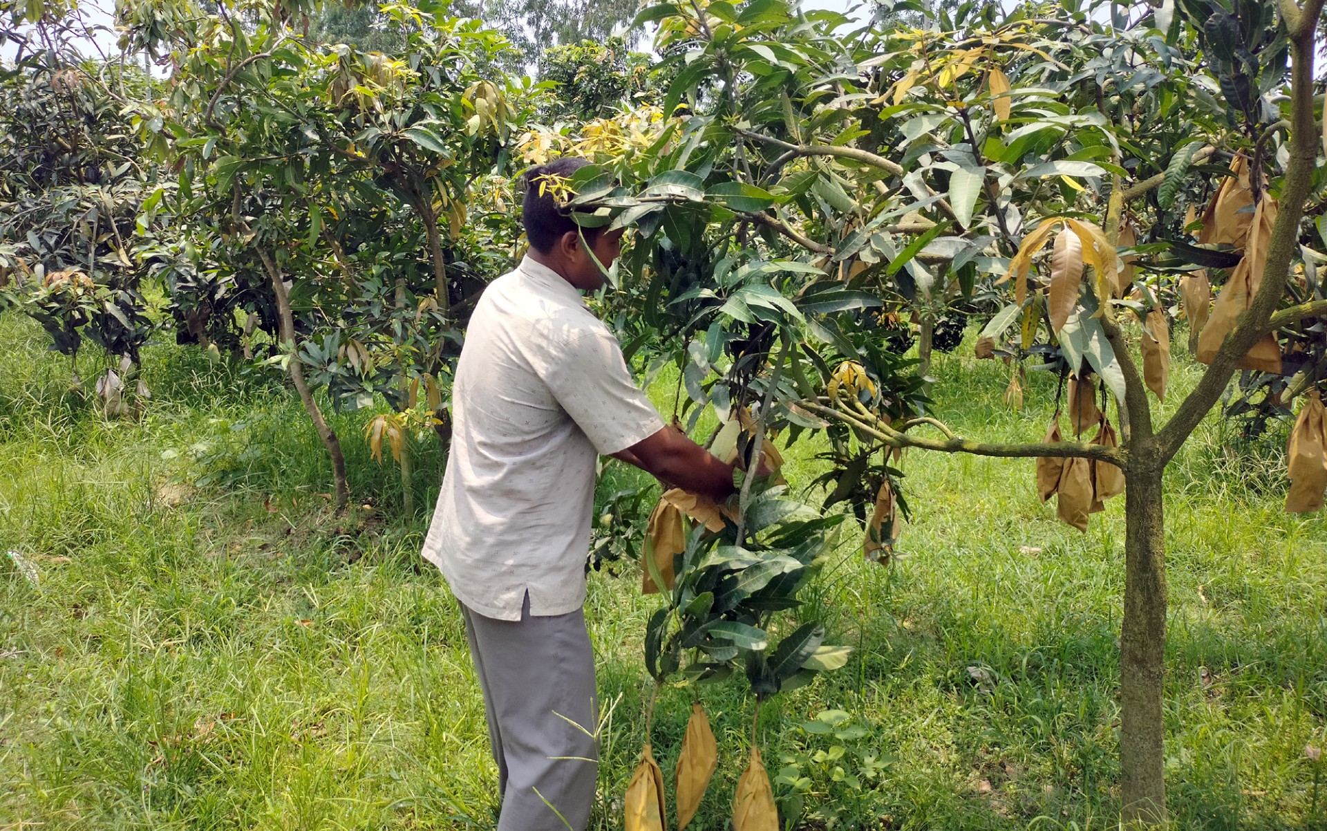 thumbnail_Dinajpur_-3