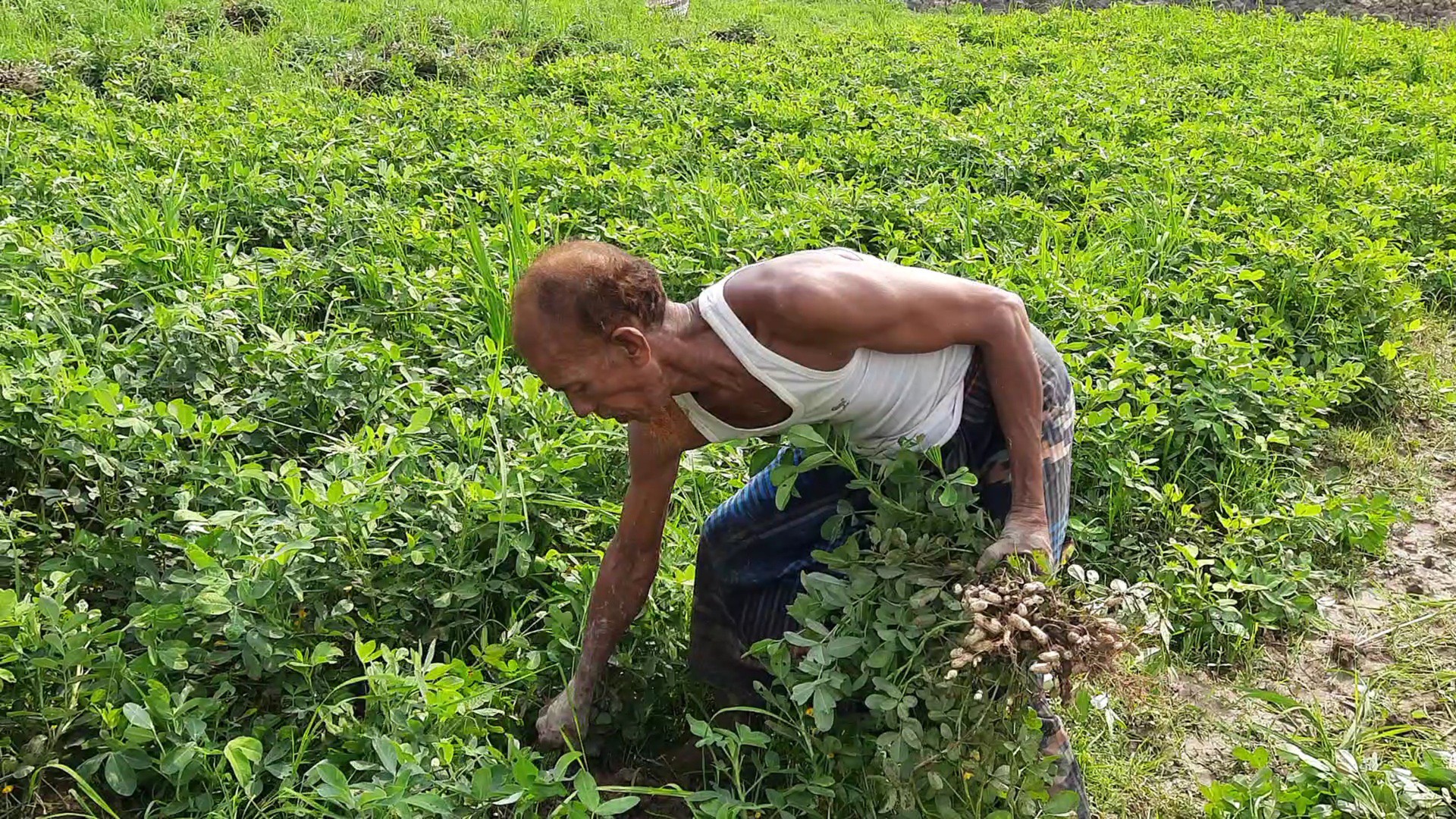 thumbnail_Habiganj-1006