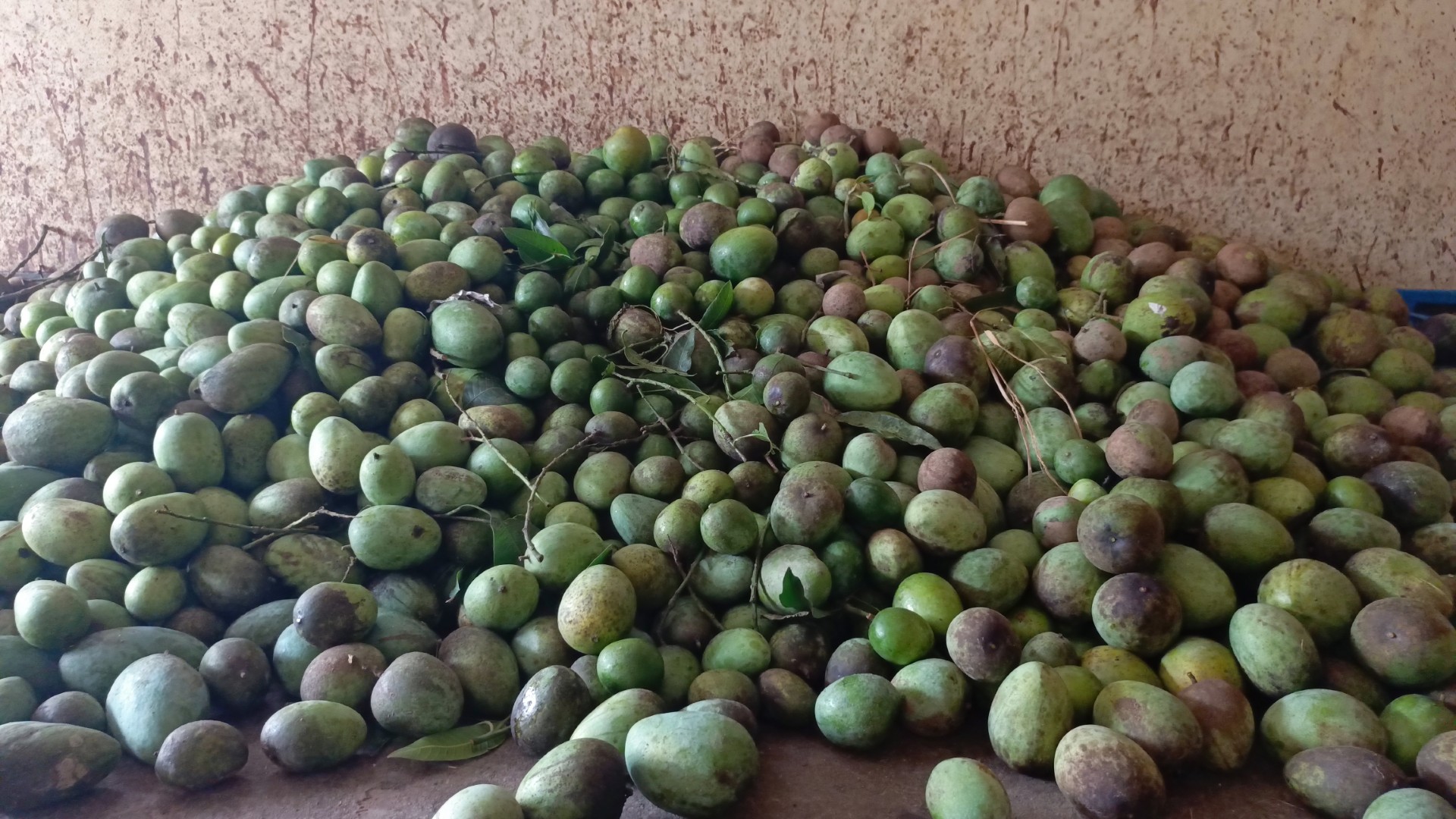 thumbnail_IMG_20250618_140405_716@1370753881