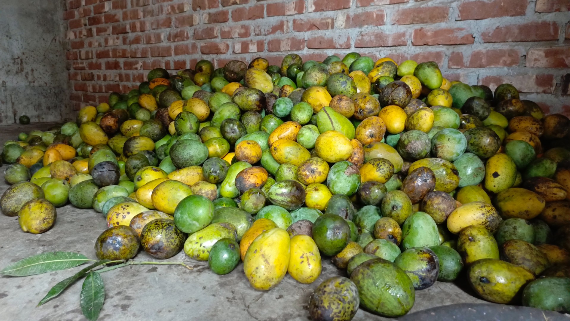 thumbnail_IMG_20250618_141518_620@1809527283