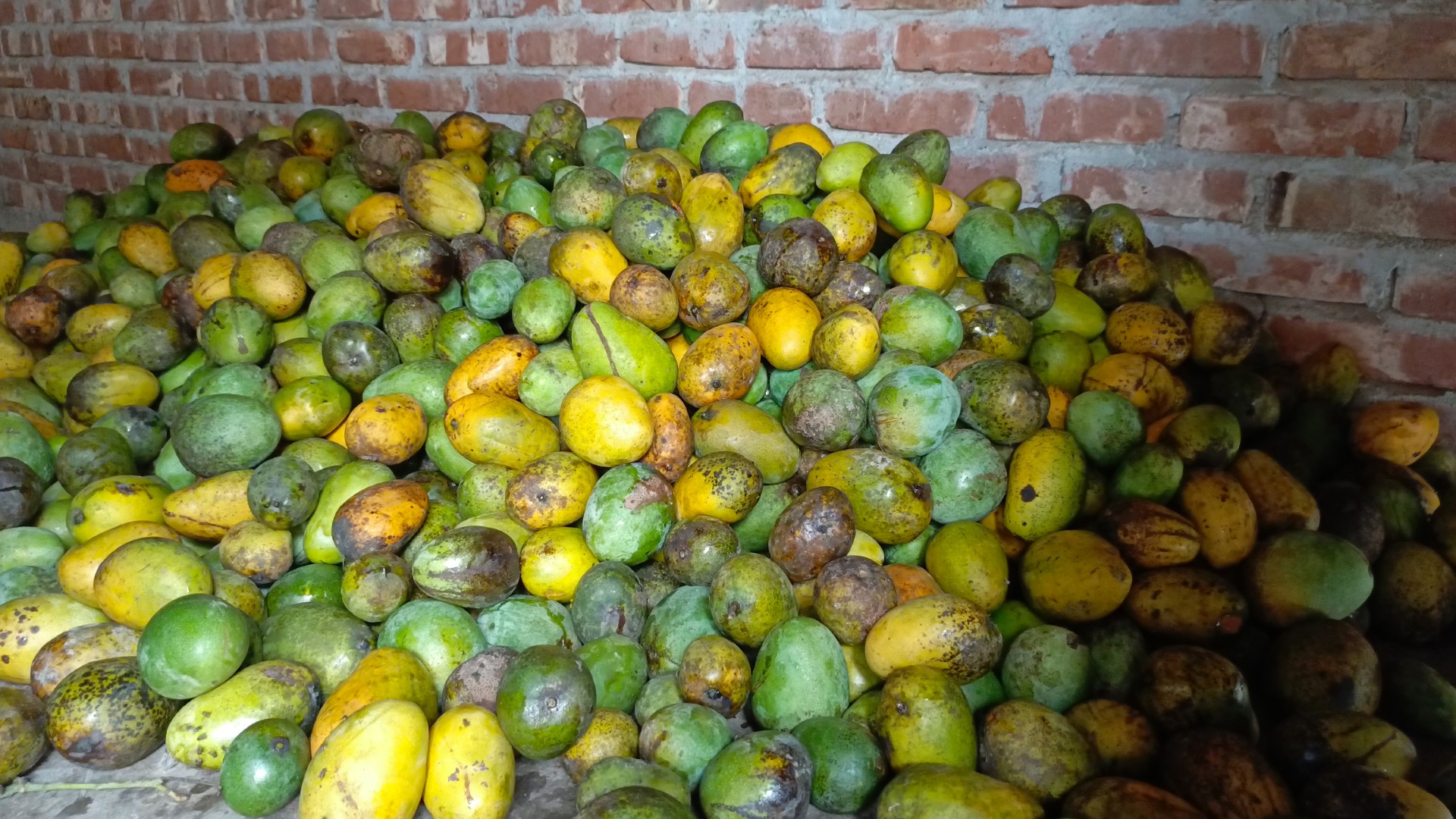 thumbnail_IMG_20250618_141527_240@-72288181