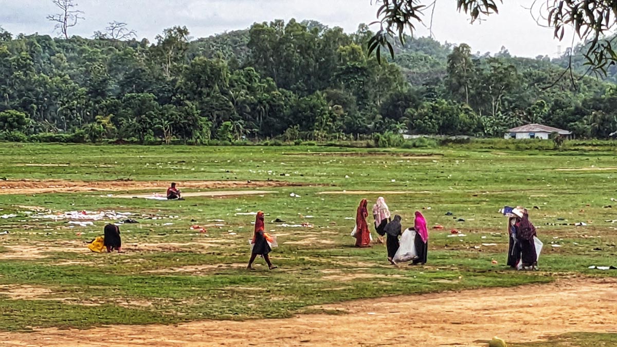 university_3 university_3