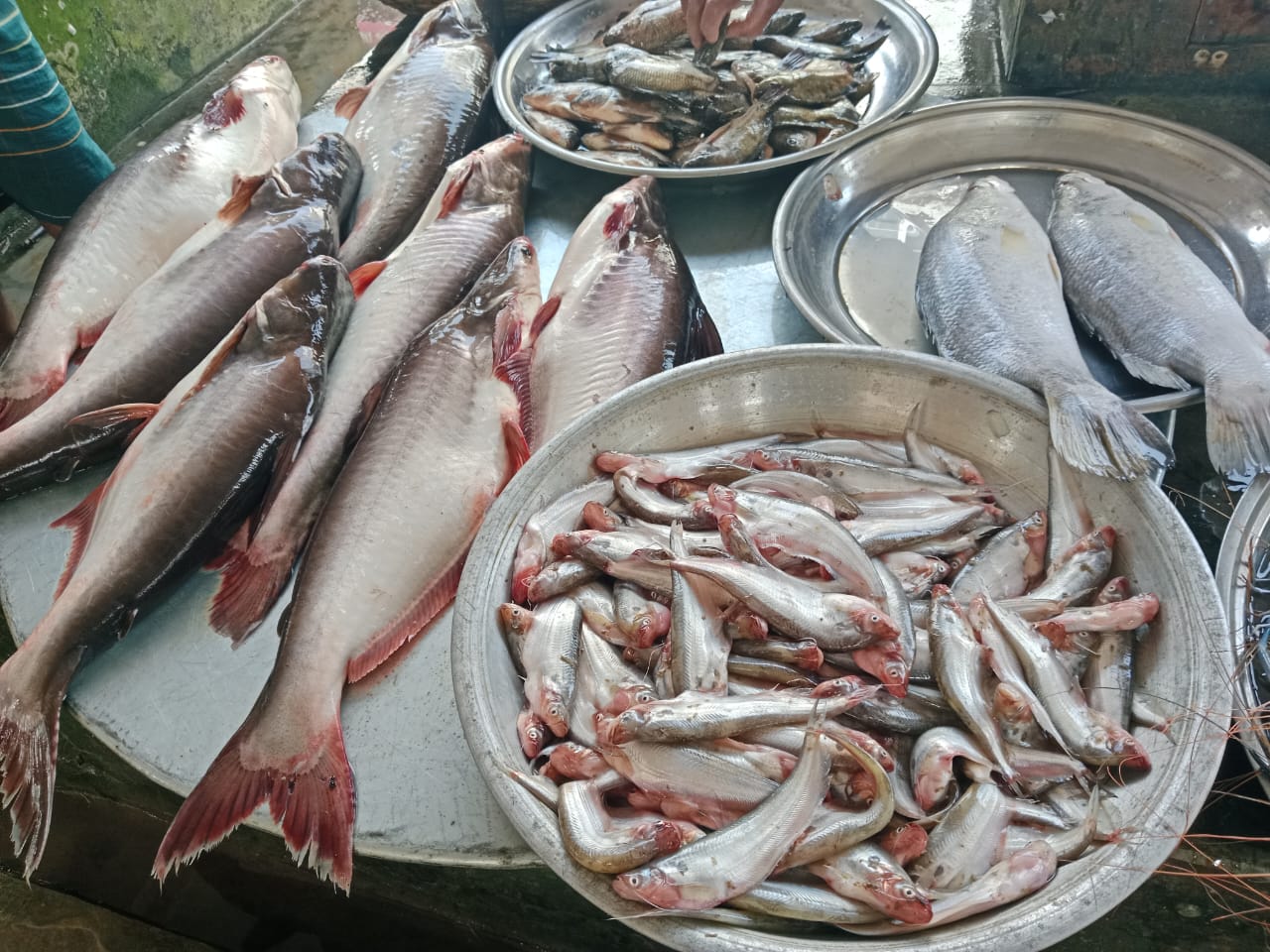 IMG-20241109-WA0016
