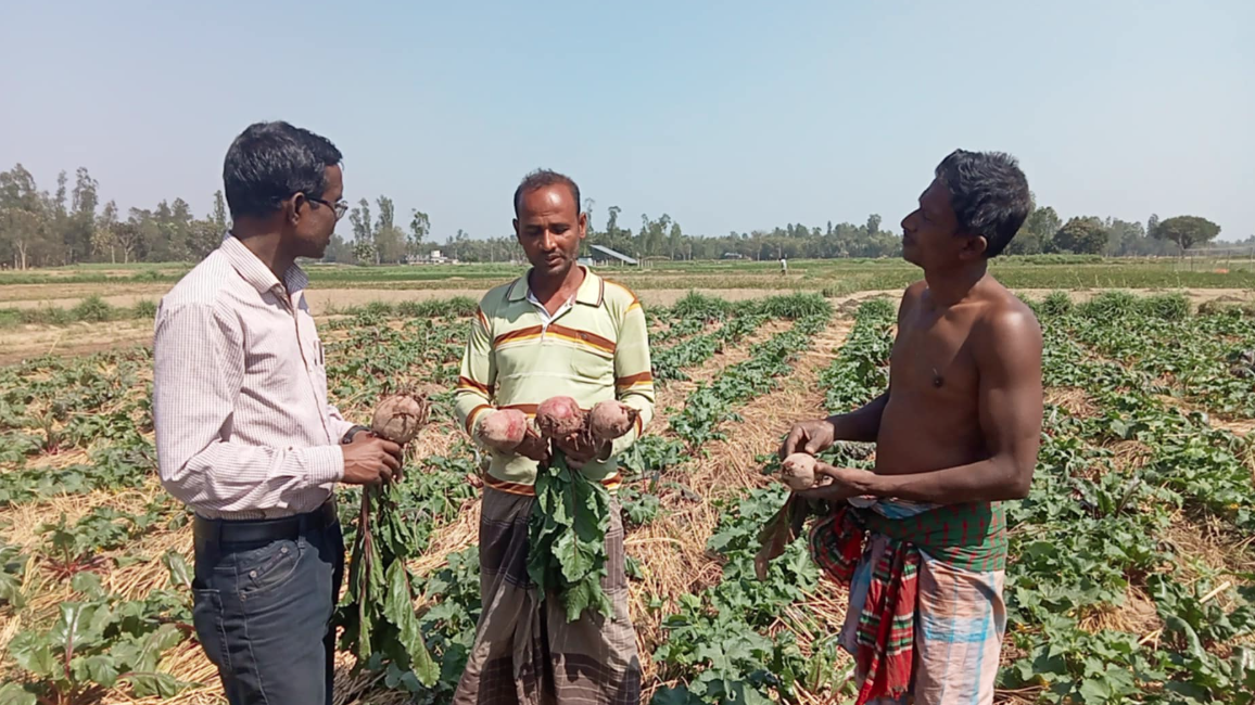 ইউটিউব দেখে ‘বিটরুট’ চাষে সফল কৃষক লুলু