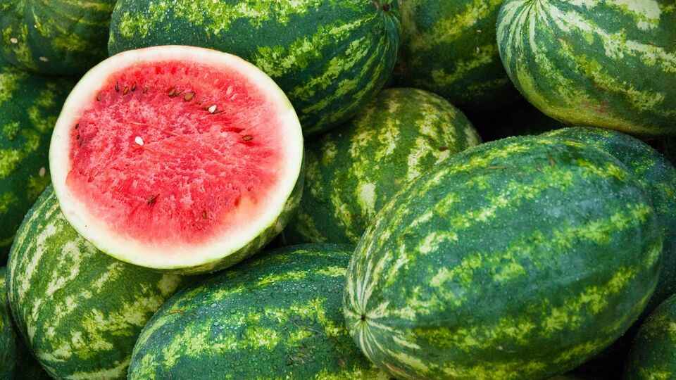 WATER MELON